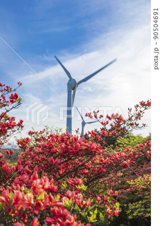 花咲く季節の青山高原 花咲く季節の青山高原 90504691