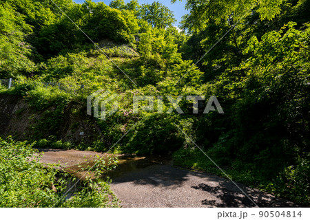 【国道157号】洗い越しを渡る 【国道157号】洗い越しを渡る 90504814