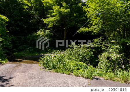 【国道157号】洗い越しを渡る 【国道157号】洗い越しを渡る 90504816