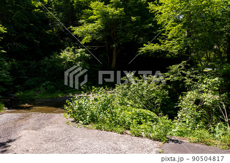 【国道157号】洗い越しを渡る 【国道157号】洗い越しを渡る 90504817