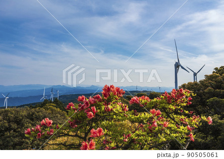 花咲く季節の青山高原 花咲く季節の青山高原 90505061