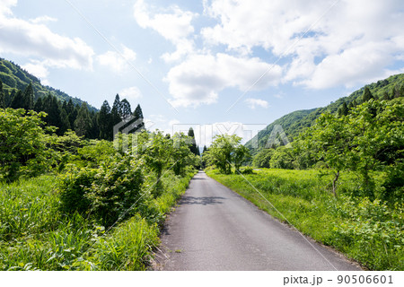 【国道157号】温見ストレート 90506601