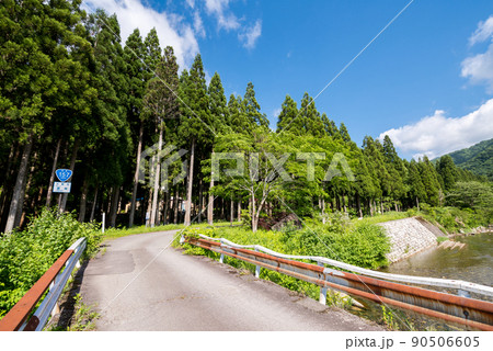 【国道157号】温見集落跡への入り口 90506605
