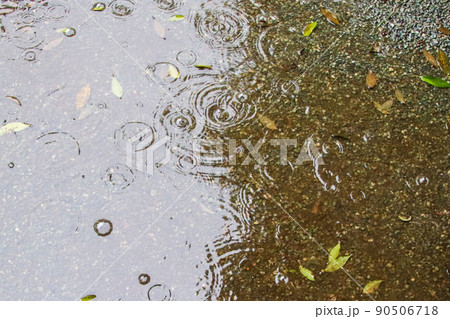 雨粒が落ちて波紋ができる水たまり 90506718