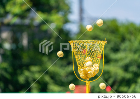 運動会の玉入れ 運動会の玉入れ 90506756