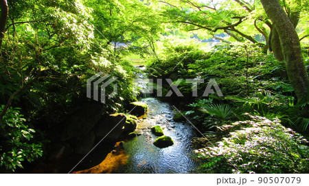 美しい純和風な小川流れる風景 美しい純和風な小川流れる風景 90507079