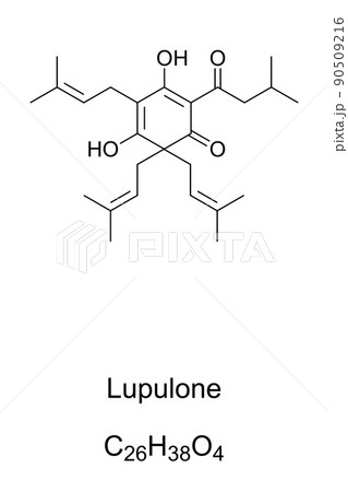Lupulone, chemical formula and structure. Organic acid found as a component of hops. It was  historically used in beer brewing, has numerous antibacterial and anti-cancer abilities and a bitter taste. Lupulone, chemical formula and structure. Organic acid found as a component of hops. It was  historically used in beer brewing, has numerous antibacterial and anti-cancer abilities and a bitter taste. 90509216