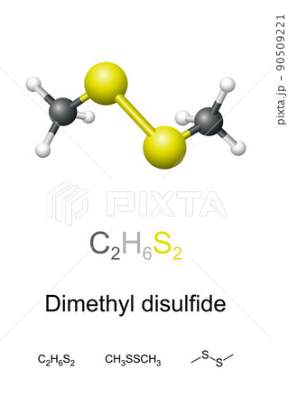 Dimethyl disulfide, DMDS, chemical formula and molecule model. Methyldisulfide, organosulfur compound with unpleasant, garlic-like odor. Widespread natural odoriferous compound, used as food additive. Dimethyl disulfide, DMDS, chemical formula and molecule model. Methyldisulfide, organosulfur compound with unpleasant, garlic-like odor. Widespread natural odoriferous compound, used as food additive. 90509221
