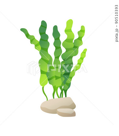 Marine or Decorative Aquarium Algae Illustration 90510393