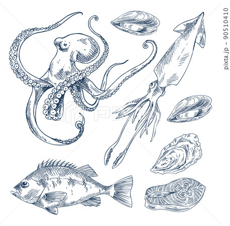 Fish and Marine Creatures as Seafood Poster Fish and Marine Creatures as Seafood Poster 90510410