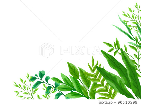 Card or background with branches and green leaves. Spring or summer stylized foliage. Card or background with branches and green leaves. Spring or summer stylized foliage. 90510599