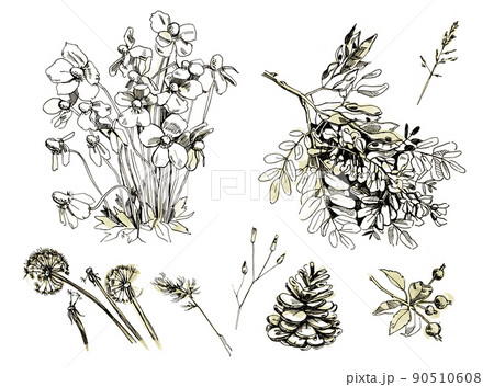 Sketches of trees and flowers. Drawing with pencil 90510608