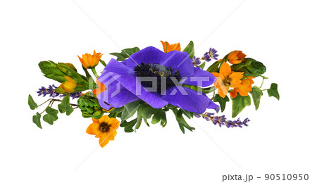 Blue anemome flower, orange ornithogalum, lavender and ivy leaves in a floral arrangement isolated Blue anemome flower, orange ornithogalum, lavender and ivy leaves in a floral arrangement isolated 90510950
