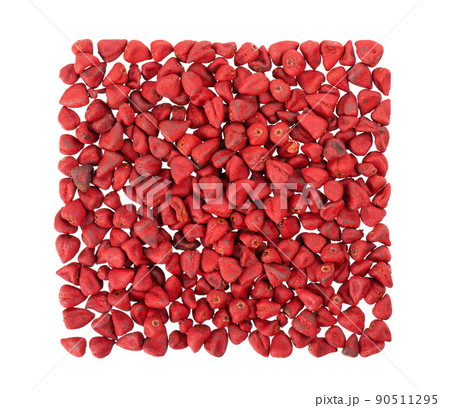 Annatto seeds, isolated on a white background. Achiote seeds, bixa orellana. Natural dye for cooking and food. Close-up. Top view. Annatto seeds, isolated on a white background. Achiote seeds, bixa orellana. Natural dye for cooking and food. Close-up. Top view. 90511295