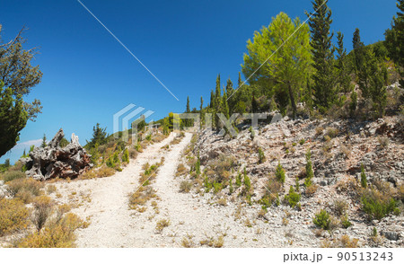 Summer landscape with an empty rural road. Zakynthos 90513243