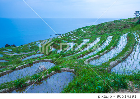 石川県　白米千枚田・風景 90514391