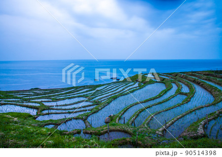 石川県　白米千枚田・風景 90514398