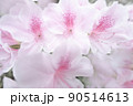 桜　花びら 90514613