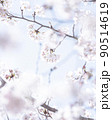 空と桜 90514619