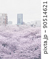 東京と桜 90514621