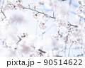 空と桜 90514622