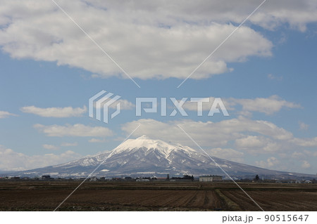 藤崎町から観た岩木山全景(青森県藤崎町) 藤崎町から観た岩木山全景(青森県藤崎町) 90515647