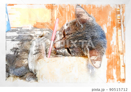 スケッチ風 猫 ネコ ねこ キジトラ 白 グレー 子猫 雌 メス 雌ねこ 雌ネコ 雌猫 かわいい 90515712
