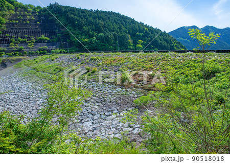 有馬ダム　名栗湖　天端　春　新緑の風景 90518018