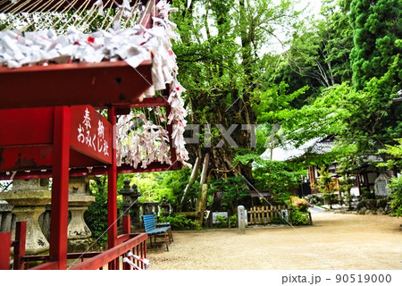 一言主さんのおみくじ 一言主さんのおみくじ 90519000