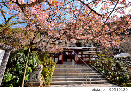 藤川天神 90519120