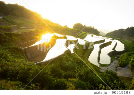 谷水棚田 長崎県南島原市 谷水棚田 長崎県南島原市 90519198