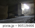 石 90519466