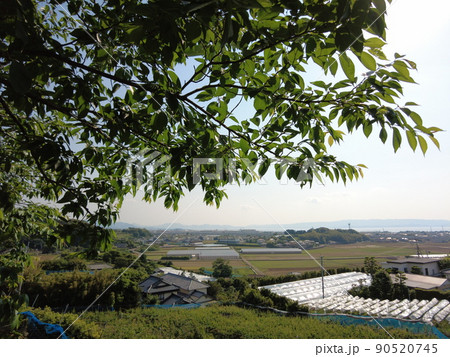 大村市 弥勒寺運動公園からの眺め 大村市 弥勒寺運動公園からの眺め 90520745