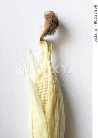 とうもろこし6 とうもろこし6 90527869