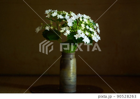 床の間に活けた紫陽花 床の間に活けた紫陽花 90528263