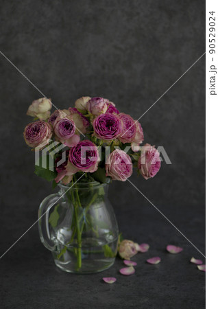 ピンクのバラ　黒背景 90529024