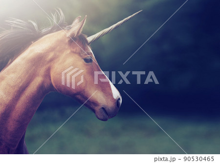 From a fairy tale. Shot of a beautiful unicorn. 90530465