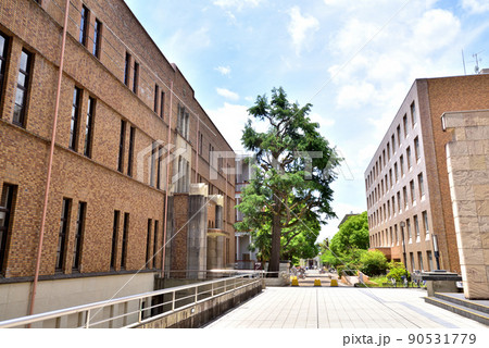 京都大学　法経済学部　京大吉田キャンパス　本部構内　 90531779