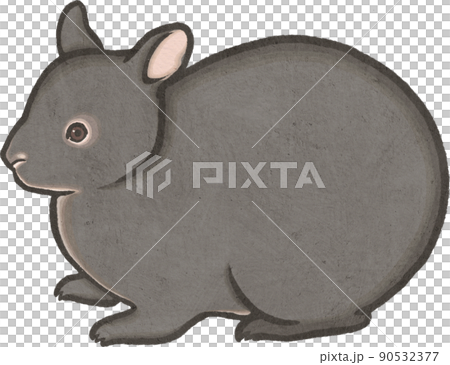 Illustration of Amami rabbit 90532377
