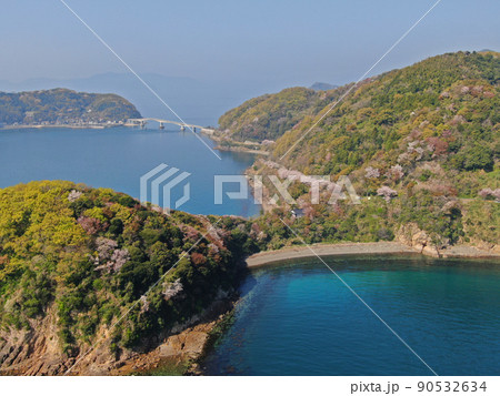 屋代島の五条の千本桜の海岸沿いの空撮 90532634