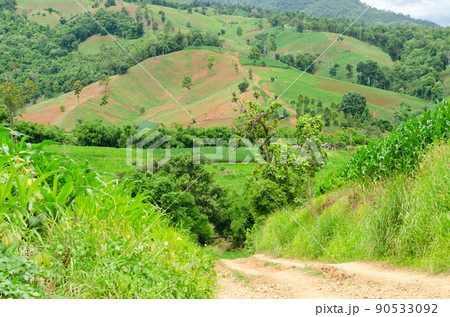 Shifting cultivation landscape of agriculture on the hill, bald mountain in Thailand 90533092