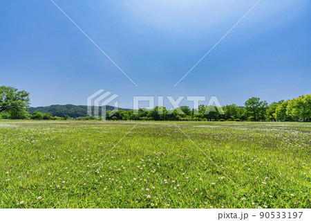公園の風景　初夏の広場　宮城県川崎町 90533197