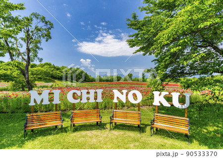 公園の風景　満開のシャーレーポピー　みちのく湖畔公園　宮城県川崎町 90533370