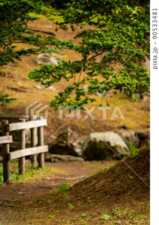 公園の奥行 90533481