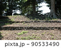 旧大和川堤防 90533490