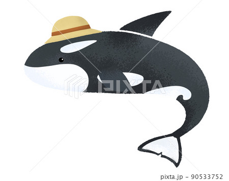 帽子をかぶったシャチのイラストのイラスト素材