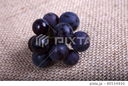 Black wine grape on bagging Black wine grape on bagging 90534930
