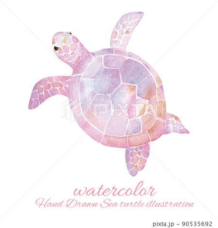 海亀の水彩画イラストのイラスト素材