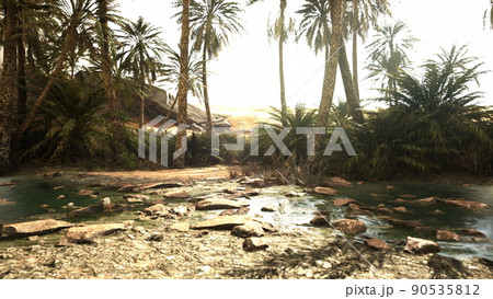 Pond and palm trees in desert oasis 90535812