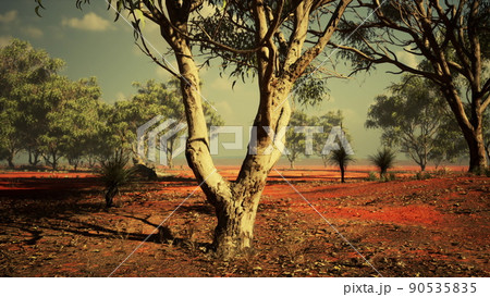 acacias trees in the landscape of Tanzania with clouds in the sky acacias trees in the landscape of Tanzania with clouds in the sky 90535835